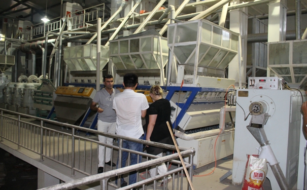 草莓视频下载地址设备