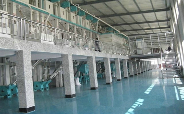 草莓视频下载地址生产线