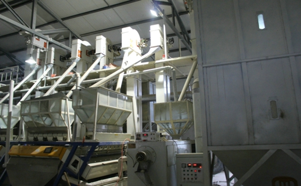 日产50吨小米加工设备 日产50吨小米加工设备