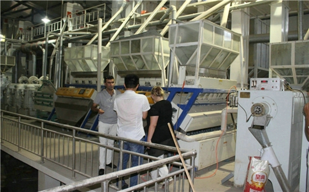 草莓视频下载地址机械