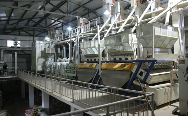 草莓视频下载地址设备