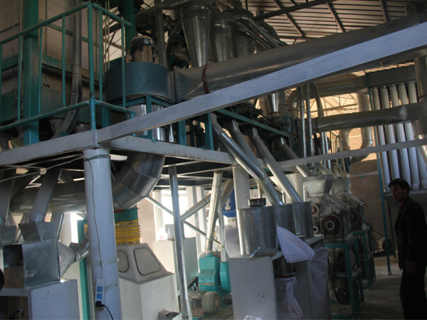 15吨级黄色片草莓视频