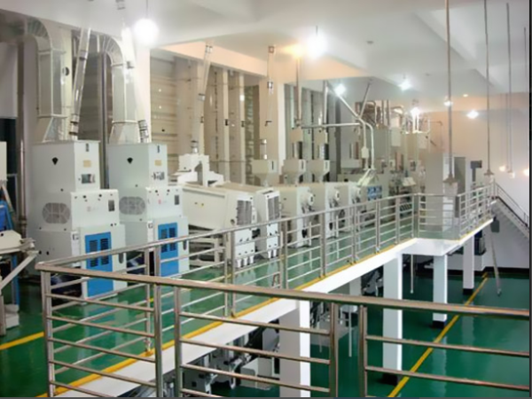 10吨草莓视频下载地址设备